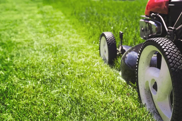 Tondeuse à gazon sur herbe — Photo