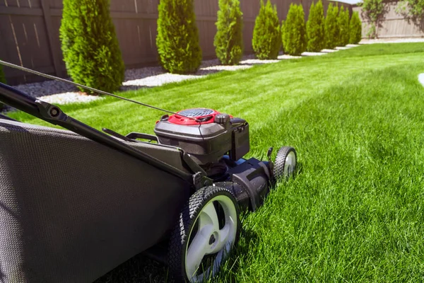 Grasmaaier op gras — Stockfoto