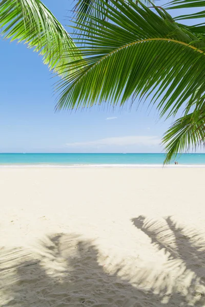 Fondo de playa tropical — Foto de Stock