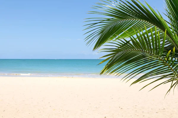Tropik plaj arka planı — Stok fotoğraf