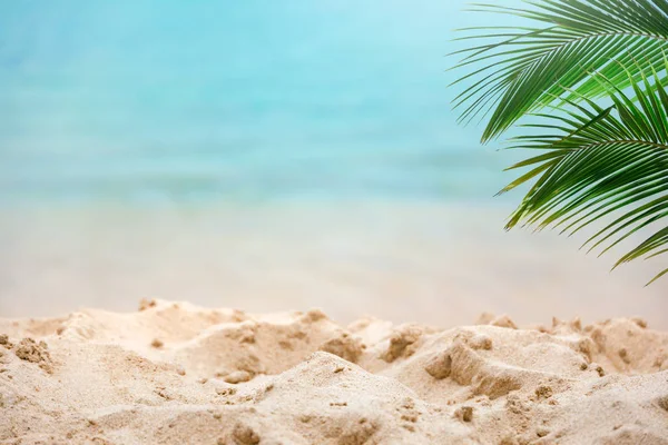 Tropical beach background — Stock Photo, Image