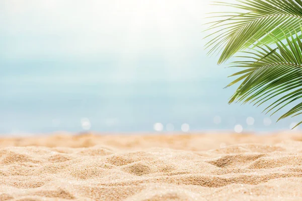 Tropical beach background — Stock Photo, Image