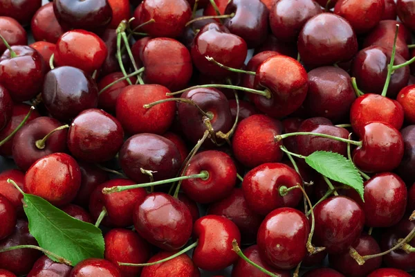 Cerezas rojas dulces — Foto de Stock