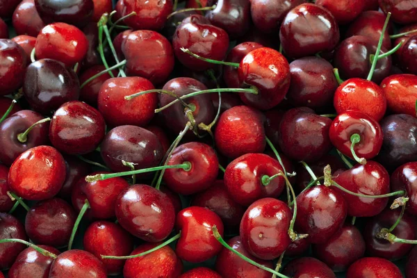 Cerezas rojas dulces — Foto de Stock