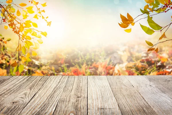 sonbahar yaprakları arka plan