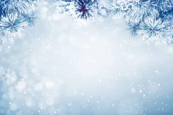 冬の背景の雪 — ストック写真