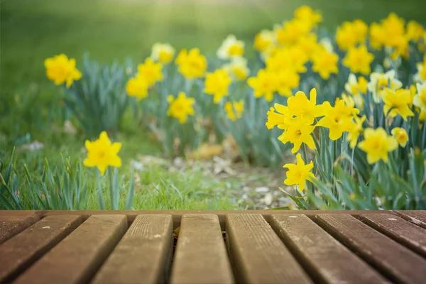 Primavera Fiori Ponte Legno Sfondo — Foto Stock