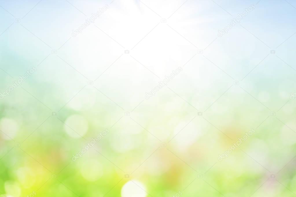Sunny spring meadow blur background 