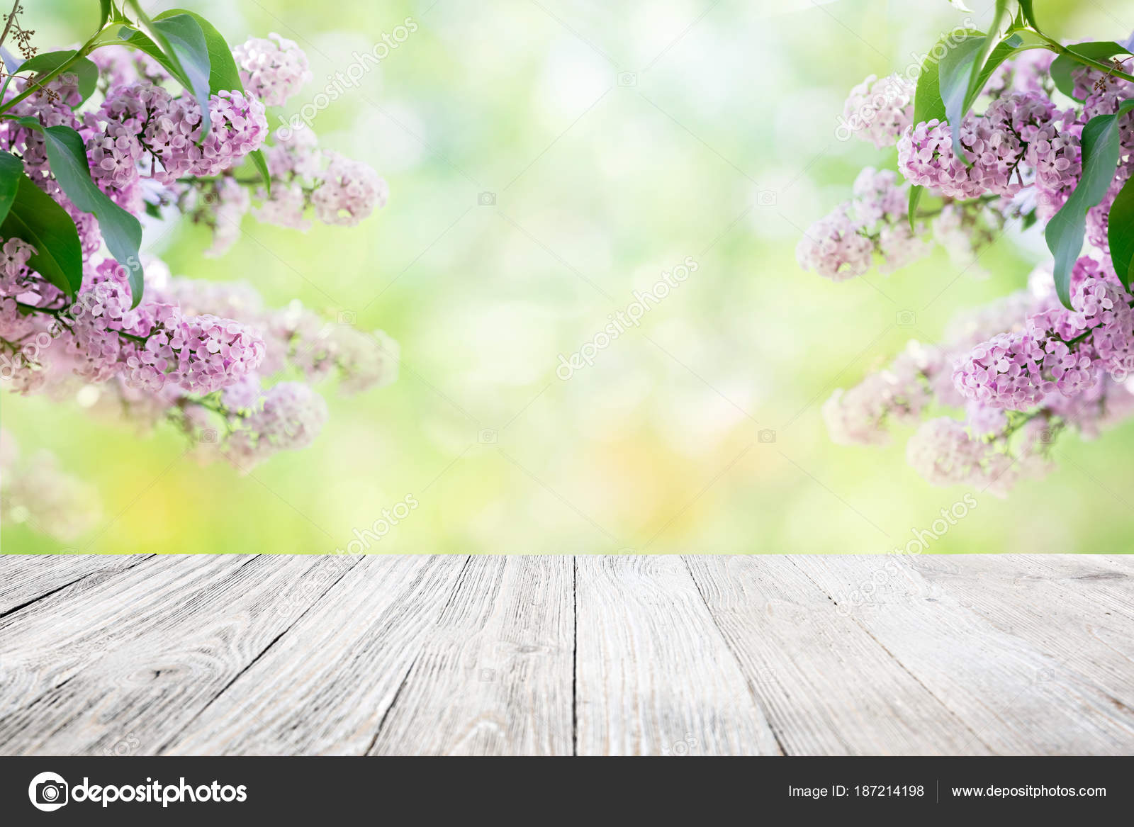 Lilac Flowers Garden Blur Background Stock Photo by ©mblach 187214198