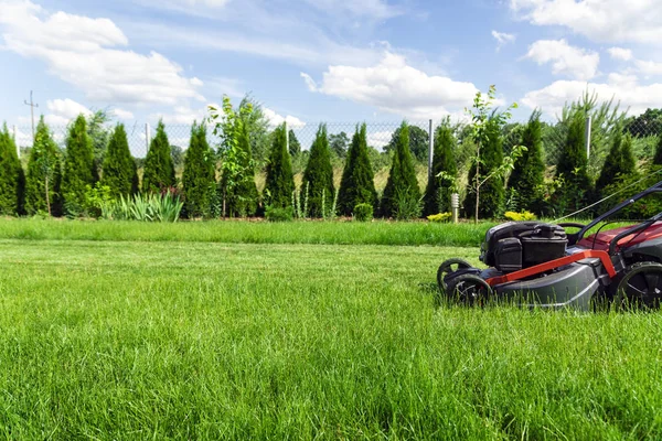 Rasenmäher Mäht Hohes Grünes Gras Hinterhof — Stockfoto