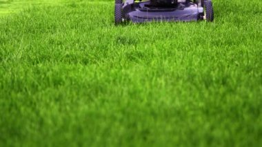 Çim biçme makinesi yeşil çimleri kesiyor