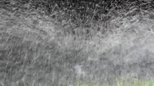 緑の芝生に水を噴霧自動スプリンクラー — ストック動画