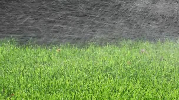 Aspersores Automáticos Rociando Agua Sobre Césped Verde — Vídeos de Stock