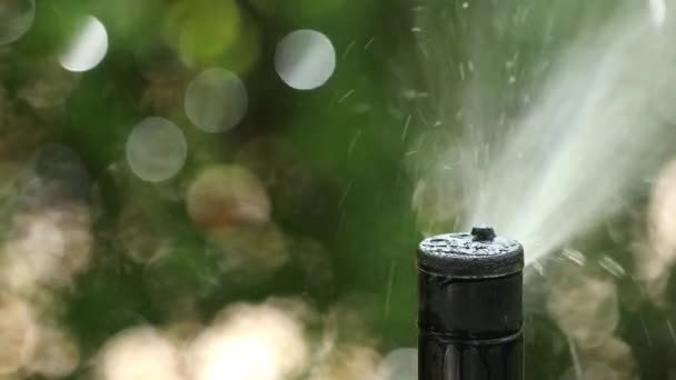 Automatisk Sprinkler Bevattning Grön Gräsmatta Närbild Bevattning Sprinklerhuvud — Stockvideo