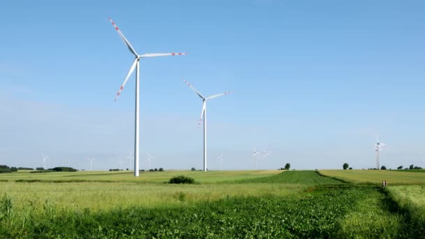 Kırsal Alanda Açık Mavi Gökyüzünde Beyaz Rüzgar Türbinleri — Stok video
