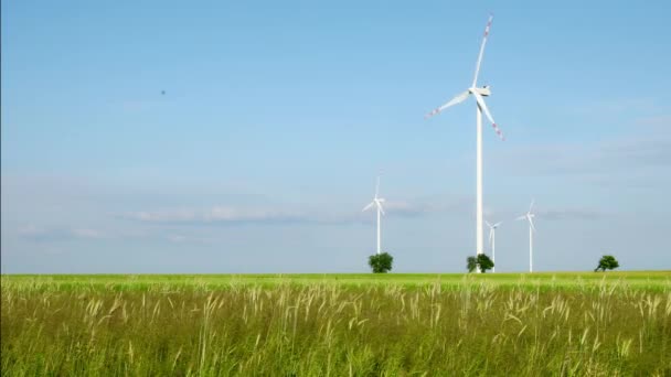 Éoliennes Blanches Dans Ciel Bleu Vif Dans Prairie Campagne — Video