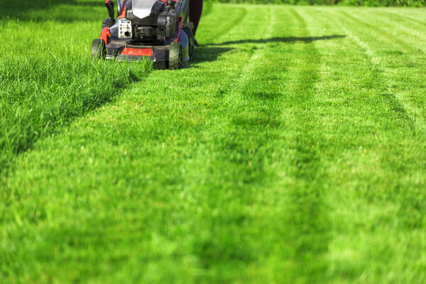 Lawn mower cutting green grass in backyard