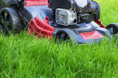 Çim biçme makinesi arka bahçesinde yeşil çim kesme