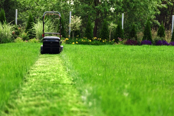 Prato Falciatrice Taglio Erba Verde Cortile — Foto Stock