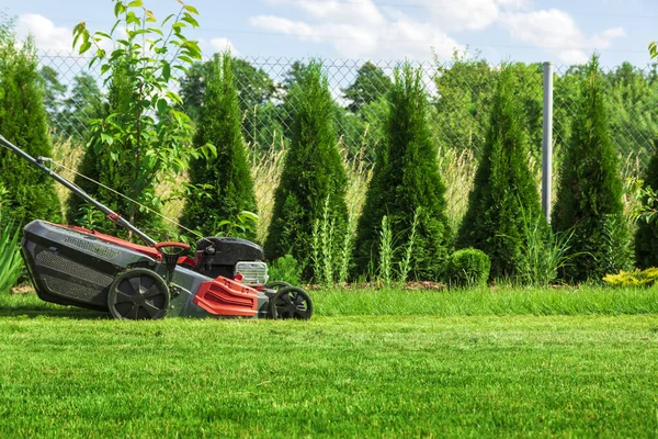 Lawn Mower Cutting Green Grass Backyard — Stock Photo, Image