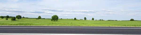 青空と雲 春の農業分野で日当たりの良い緑の牧草地 — ストック写真