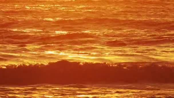 Golden Sunset Ocean Horizon Hot Summer Evening Beach — Stock Video