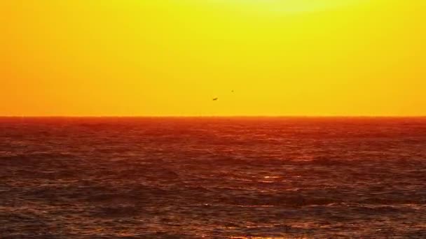 Tramonto Dorato Sull Orizzonte Oceanico Calda Serata Estiva Sulla Spiaggia — Video Stock