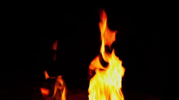 Płomienie Ogniska Obozowego Płonące Nocy — Wideo stockowe