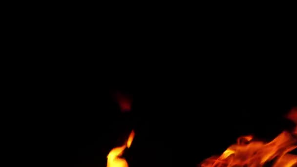 Φλόγες Από Φωτιά Κατασκήνωσης Που Καίγονται Νύχτα — Αρχείο Βίντεο