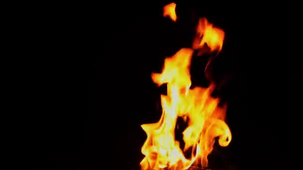 Geceleri Kamp Ateşinin Alevleri Yanıyor — Stok video