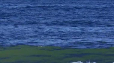 Dalgalar derin mavi okyanusta