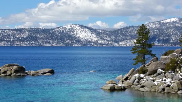 Aguas Turquesas Del Lago Tahoe Primavera Con Picos Nevados Sierra — Vídeo de stock