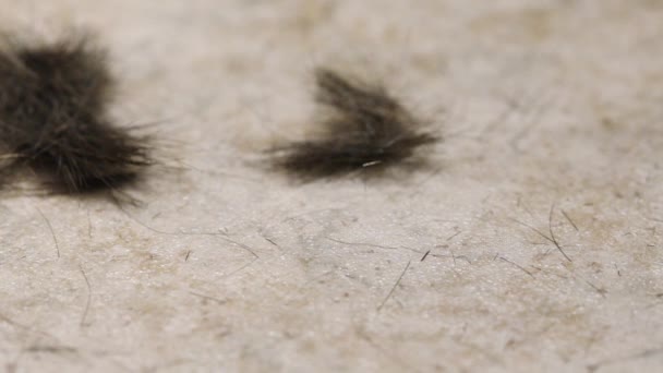 Κούρεμα Μαλλιών Που Πέφτουν Στο Πάτωμα Κοντινό Πλάνο Σκούρα Κοντά — Αρχείο Βίντεο