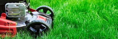 Çim biçme makinesi arka bahçede yeşil çim biçme, çim biçme fotokopi alanı