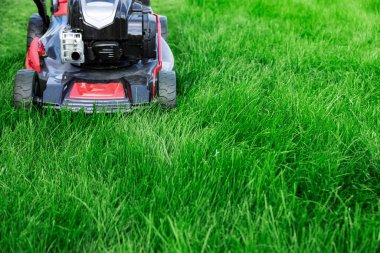 Çim biçme makinesi arka bahçede yeşil çim biçme, çim biçme fotokopi alanı