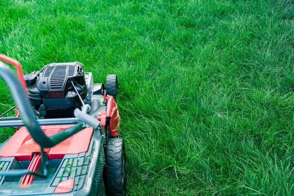Lawn Mower Cutting Green Grass Backyard Mowing Lawn Copy Space — Stock Photo, Image