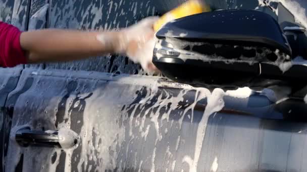 スポンジやシャンプーで車を洗う 濡れた車のクローズアップで手の泡を広げる — ストック動画
