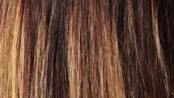 Dlouhé Brunetky Vlasy Zvýraznění Close Mladá Žena Rovnými Lesklé Barvené — Stock video