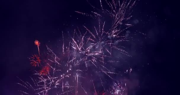 Echte Bunte Feuerwerk Den Dunklen Himmel Nationalfeiertag Neujahrsfeier — Stockvideo