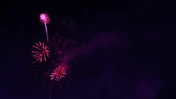 暗い空に本物のカラフルな花火大会 国民の休日の新年のお祝い — ストック動画