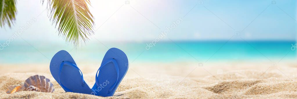 Sunny tropical beach, summer holidays vacation, Caribbean beach with turquoise water background, seashells in sand, palm tree on the beach