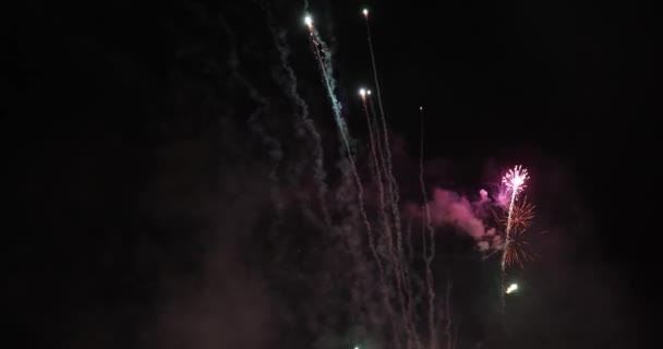 Echte Kleurrijke Vuurwerk Display Donkere Lucht Nationale Feestdag Nieuwjaar Viering — Stockvideo