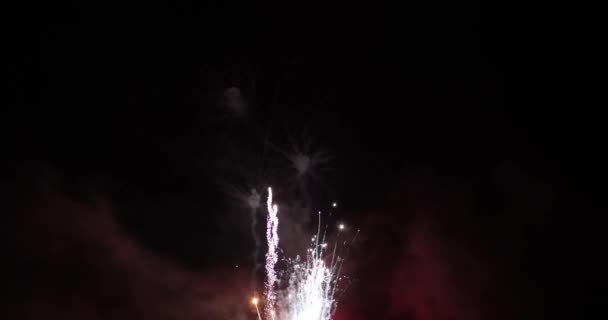 Echte Kleurrijke Vuurwerk Display Donkere Lucht Nationale Feestdag Nieuwjaar Viering — Stockvideo