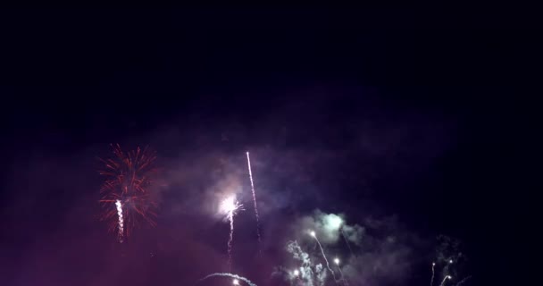 Igazi Színes Tűzijáték Kijelző Sötét Égen Nemzeti Ünnep Újév Ünnepe — Stock videók