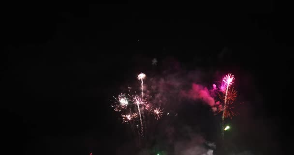 Prawdziwy Kolorowy Pokaz Fajerwerków Ciemnym Niebie Święto Narodowe Nowy Rok — Wideo stockowe