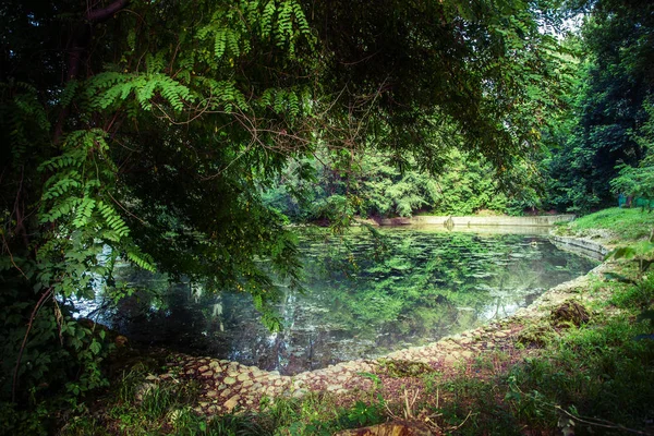 Ağaçlar ve havuz peyzaj