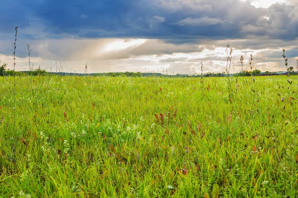 Groen veld en bewolkte lucht — Stockfoto