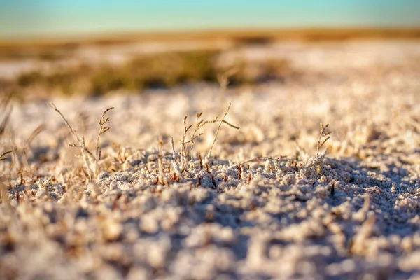 Stäppen saltlösning jordar i Kazakstan — Stockfoto