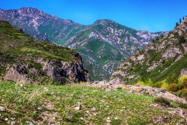 Alatau Dağ doruklarına. Kazakistan