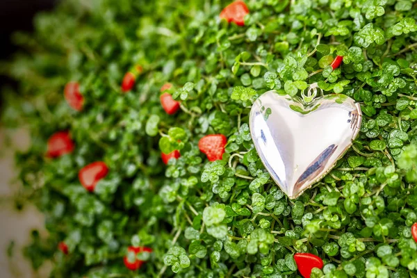 Pequenos corações vermelhos e prateados na grama verde — Fotografia de Stock
